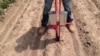 Jelle Van Loon, of the International Maize and Wheat Improvement Center, demonstrates a prototype hand planter. (Steve Baragona/VOA) 