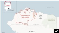 Alaska Willow Project map