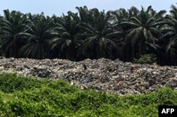 Sampah plastik di dekat pohon kelapa sawit di sebuah pabrik terbengkalai di Jenjarom, sebuah distrik Kuala Langat, di luar Kuala Lumpur, 8 Maret 2019. (Mohd RASFAN / AFP)