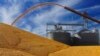 US Escalates Trade Dispute With Mexico Over Limits on Genetically Modified Corn