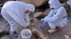 Members of the National Food Health and Quality Service take samples from a dead sea lion in the Atlantic coast near Viedma, Rio Negro Province, Argentina, Aug. 29, 2023, in this photo released by the Rio Negro Province Environment Secretariat via Telam. 