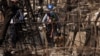 Anggota tim pencarian dan pemulihan, didampingi oleh anjing-anjing pelacak, memeriksa bangunan dan mobil yang hangus setelah Kebakaran Maui di Lahaina, Maui Barat, Hawaii, 17 Agustus 2023. (Foto: AFP)