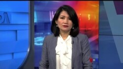နေ့စဉ် တီဗွီသတင်းလွှာ (၁၂-၁၃-၂၀၁၉)