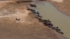 FILE - Fishing boats park downstream from Lamtakong dam during a recent period of extreme drought in Nakhon Ratchasima, Thailand. 