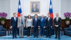 台湾总统赖清德2025年8月29日在总统府会晤美国参议院军事委员会主席威克(右三)和军委会战略武装力量小组委员会主席费舍尔(左三)。(图片来源：台湾总统府)