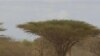 Experts: La Niña, Climate Change Impact East African Drought