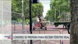 El Mundo al Día