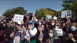 Təbrizdə heyvan hüquqları müdafiəçiləri etiraz mitinqi keçirib