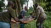Un Crocodile capturé dans une lagune et temporairement conservé dans un zoo est transporté pour être relâché dans un parc national, à Abidjan, Côte d'Ivoire le 14 juillet 2017. REUTERS / Luc Gnago - 