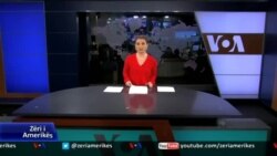 Ditari