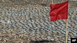 FILE - A red flag is placed by landmines removed by the Libyan army to be destroyed later, during an operation to clear a minefield near Tubruq, Libya, June 7, 2008.