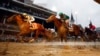 Flavien Prat rides Country House, left, to victory in the 145th running of the Kentucky Derby horse race, May 4, 2019, in Louisville, Ky. Code of Honor, right, finished second. Luis Saez on Maximum Security finished first but was disqualified.