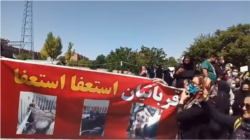 Təbrizdə heyvan hüquqları müdafiəçiləri etiraz mitinqi keçirib