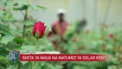 Biashara ya maua yaongezeka nchini Kenya siku ya wapendanao