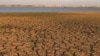 Widespread drought could push food prices higher in 2011.