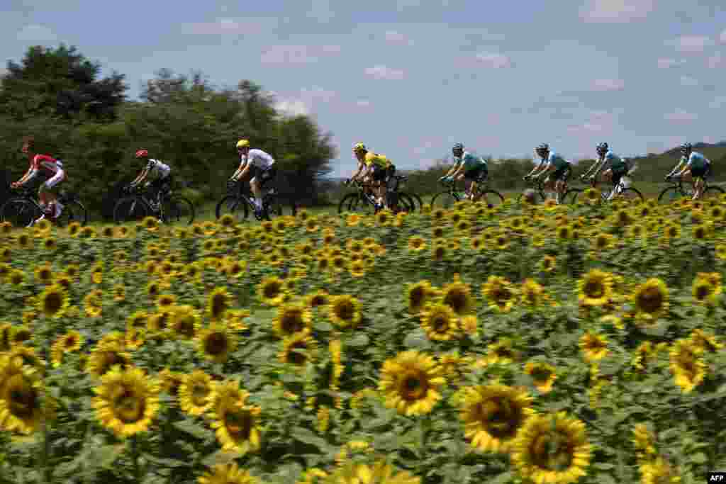 Geraint Thomas (កណ្តាល) របស់ចក្រភពអង់គ្លេស ស្លៀកឈុតពណ៌លឿងជិះកង់ជាមួយក្រុមរបស់លោកកាត់សួនផ្កាឈូករ័ត្នក្នុងការប្រកួតចម្ងាយ២០៦.៥គីឡូម៉ែតរវាង Mondorf-les-Bains និង Vittel ក្នុងការប្រណាំងកង់ Tour de France លើកទី១០៤។