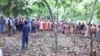 Concertation entre les investisseurs étrangers et les cacaoculteurs du village Tala 2, dans une plantation cacaoyère au Cameroun, le 25 mai 2017. (VOA/Emmanuel Ntap)