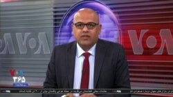 اخبار شامگاهی