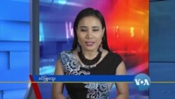 နေ့စဉ် တီဗွီသတင်းလွှာ (၀၉-၃၀-၂၀၂၀) 