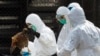 FILE - A health worker removes a dead chicken at a wholesale poultry market in Hong Kong after H7N9 bird flu virus had been found in chicken from Guangdong province, Jan. 28, 2014.