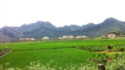 Trại tù Ba Sao Hà-Nam-Ninh, Miền Bắc Việt Nam, nơi triền núi phía sau trại tù là nghĩa địa chôn vùi xác rất nhiều tù nhân cải tạo có gốc từ Miền Nam sau 1975, thân xác Giáo sư Nguyễn Duy Xuân được vùi nông trong nghĩa địa trại tù Ba Sao này. Mãi 30 năm sau, con gái ông là bà Nguyễn Thị Nguyệt Nga từ Pháp về bốc mộ cha đưa từ nghĩa địa trại tù Ba Sao về Chùa Thiên Hưng, Quận Bình Thạnh Sài Gòn.