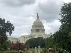 The Capitol Hill building is pictured in Washington, DC. (Photo: Diaa Bekheet)