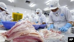Thủ phạm chính kéo ngành nuôi cá da trơn của Mỹ xuống là cá basa nhập khẩu giá thấp, chủ yếu là từ Việt Nam.