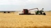 Wheat is harvested on a farm in the midwestern United States, July 2009.