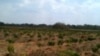 Moçambique (foto de arquivo).