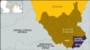 Illegal Logging Threatens South Sudan Forests