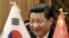 Chinese President Xi Jinping smiles during a meeting with South Korean National Assembly Speaker Chung Ui-hwa at the National Assembly in Seoul, South Korea, Friday, July 4, 2014.