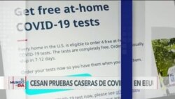 El Mundo al Día