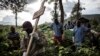 FILE - Health workers carry a coffin containing a victim of Ebola virus on May 16, 2019 in Butembo.