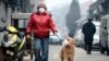 A man and his dog, both wearing masks, walk along a small alley on a hazy day in Beijing, February 23, 2014.