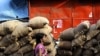 An Indian woman walk past carts loaded with sacks of food items at a wholesale market in New Delhi, India, June 9, 2011. 