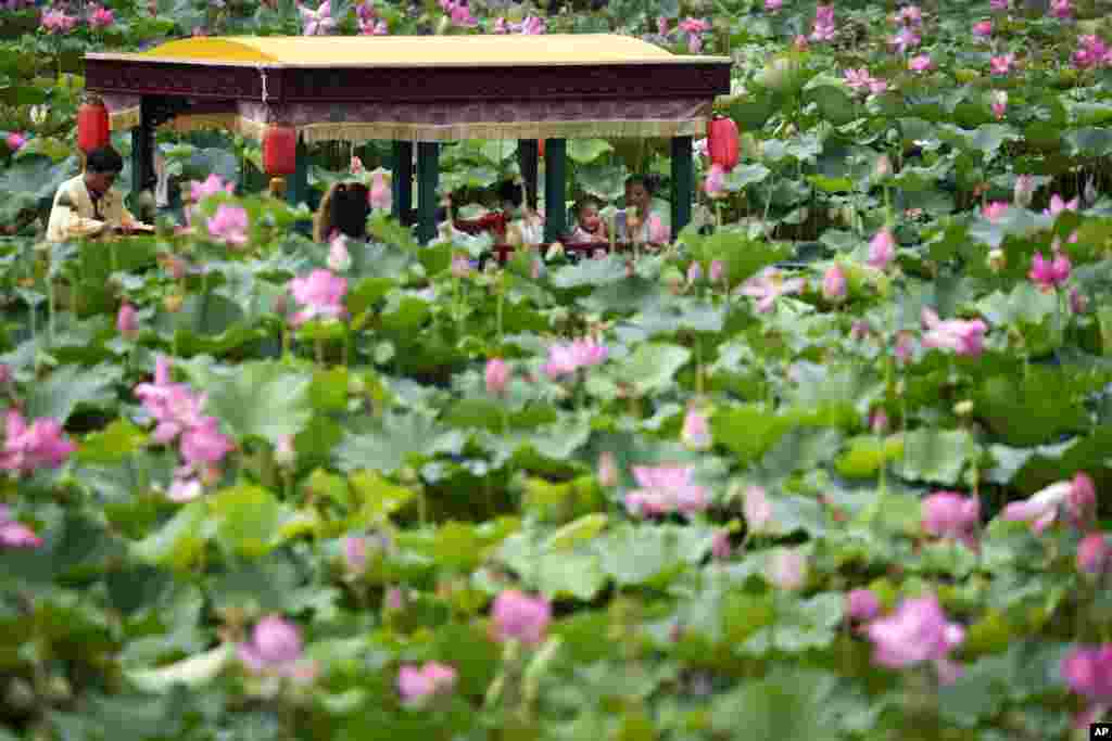 ទូកទេសចរមួយកំពុងជិះជុំវិញសួនផ្កាលីលីនៅក្នុងសួន Beihai ទីក្រុងប៉េកាំងប្រទេសចិន។
