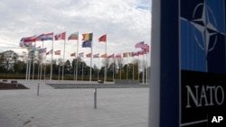 Прапори країн-членів НАТО майорять біля штаб-квартири Альянсу в Брюсселі, 28 жовтня 2024 р. (Фото: AP Photo/Virginia Mayo)