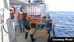 Lead author Sophie Chu at work. (Zhaohui Aleck Wang/Woods Hole Oceanographic Institution)