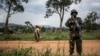 Une patrouille de la Monusco pour traquer les rebelles ougandais des Forces Démocratiques Alliés (ADF), le 13 novembre 2018. (Photo by John WESSELS / AFP)