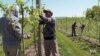 Pennsylvania Farmers Fear Labor Shortage Amid Immigration Fears
